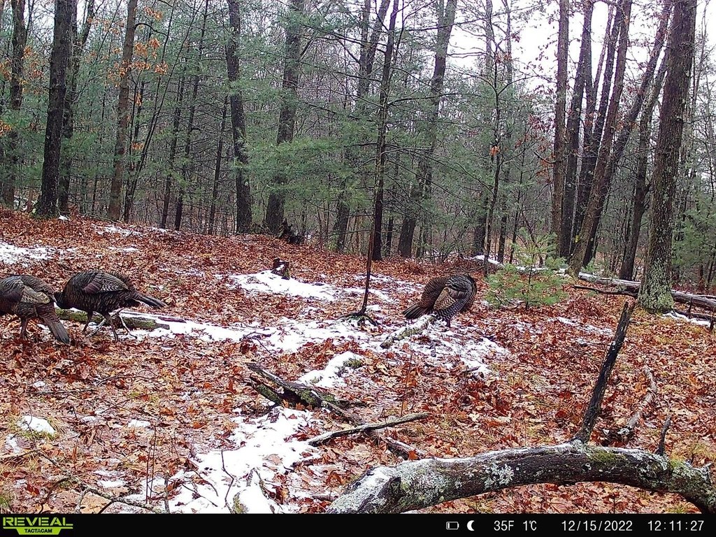 Picture 24