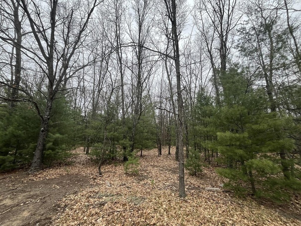 Picture 17