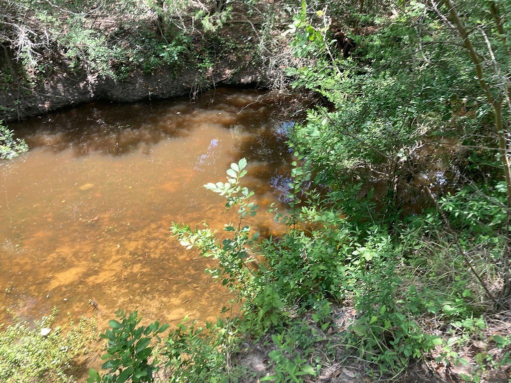 Picture 11