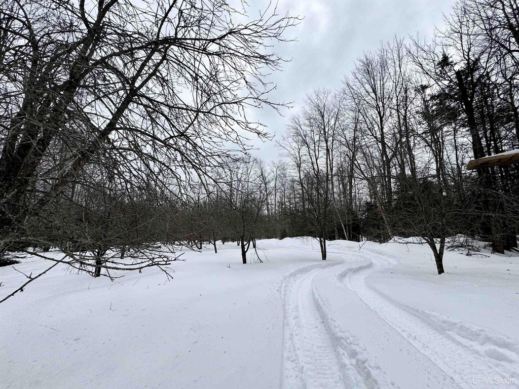 Picture 25