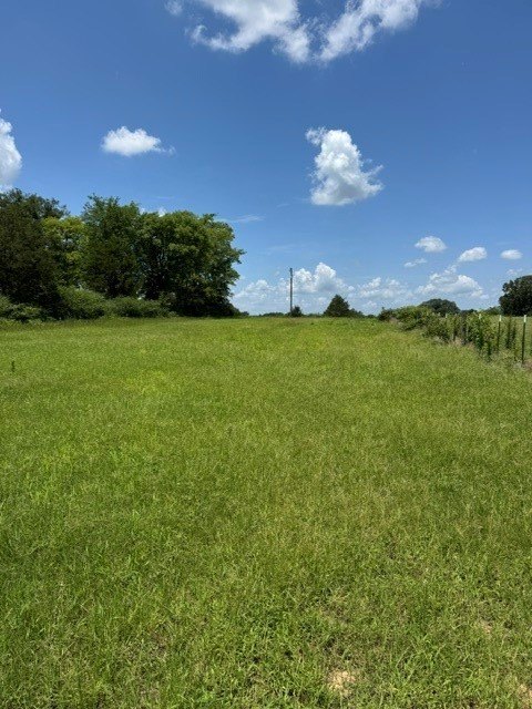 Picture 10