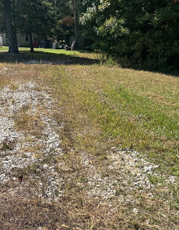 Picture 15