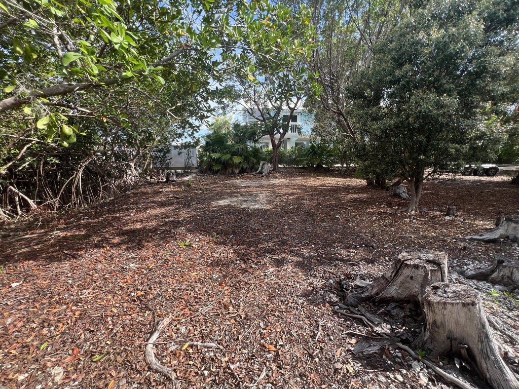 Picture 6
