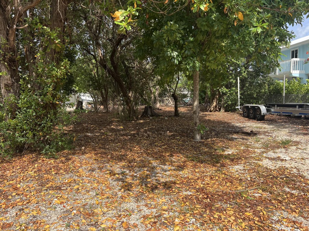 Picture 18