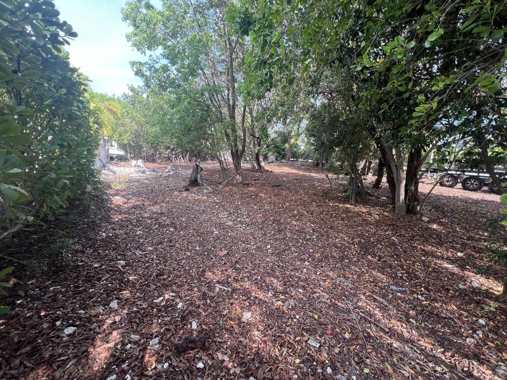 Picture 4