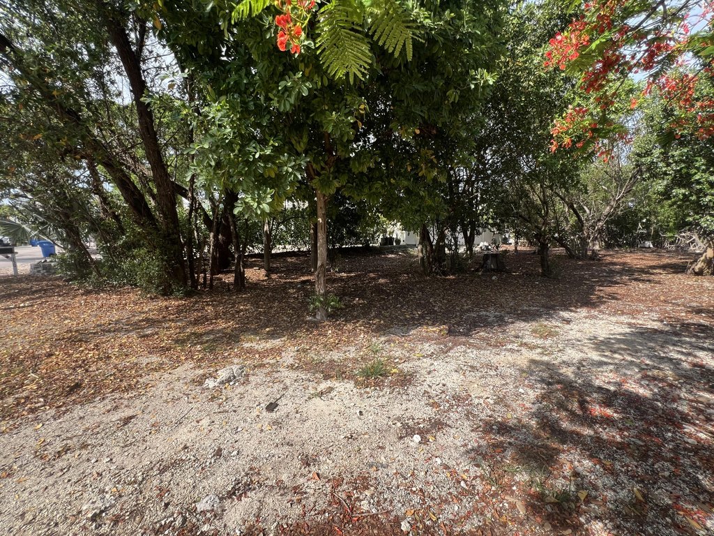 Picture 14