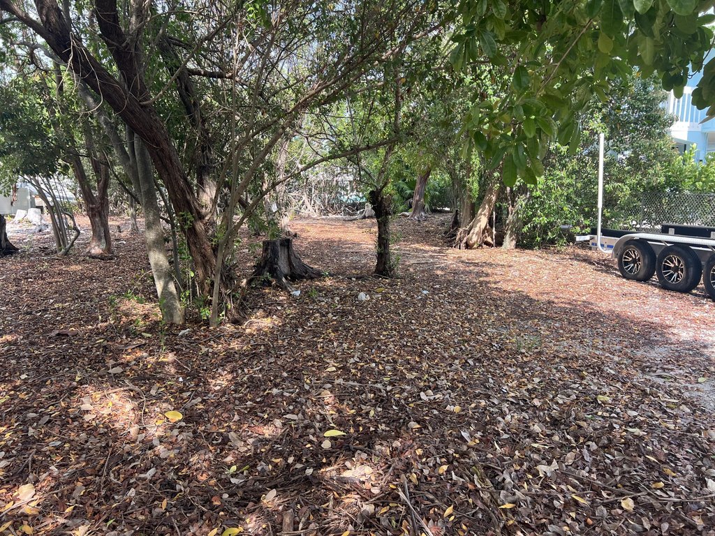 Picture 17