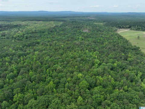 Wooded Farmland Parcel
