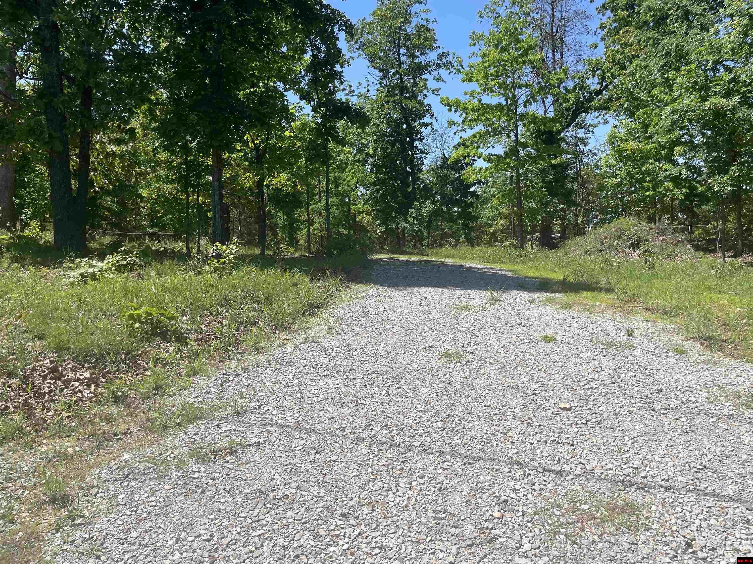 Wooded Land Near Lake Norfork