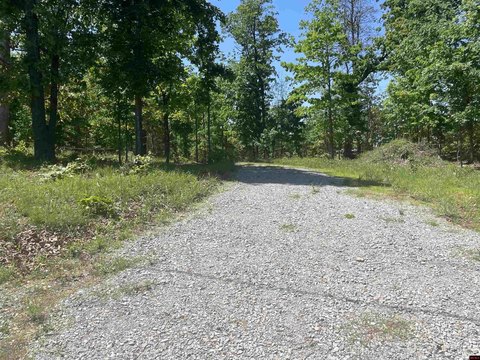 Wooded Land Near Lake Norfork