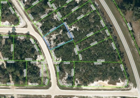 Residential Land in Lake Placid