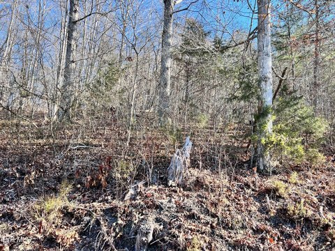 9.9 Acres of Untamed Land