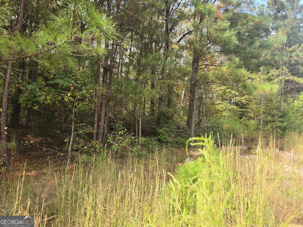 Picture 2