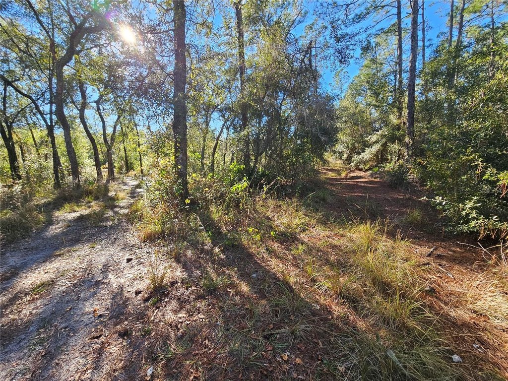 Picture 6