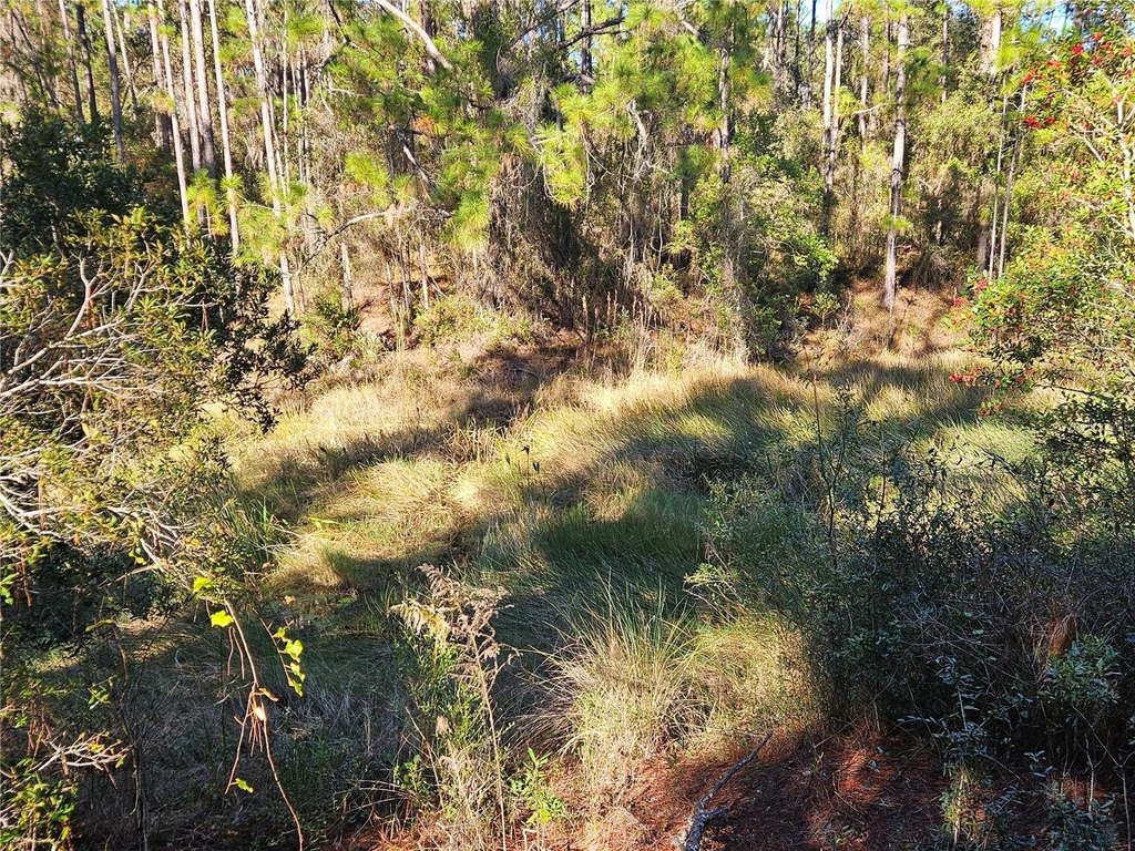 Picture 8