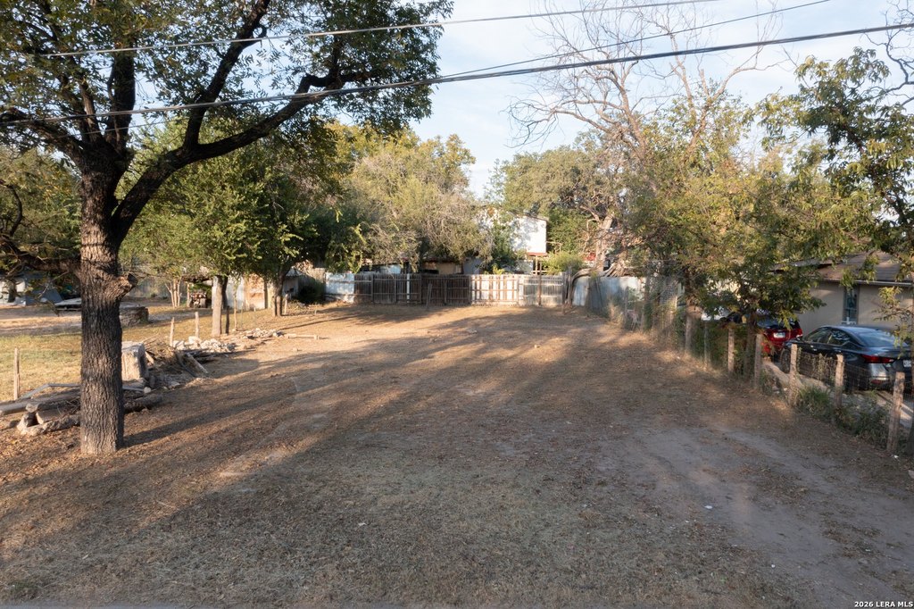 Picture 6