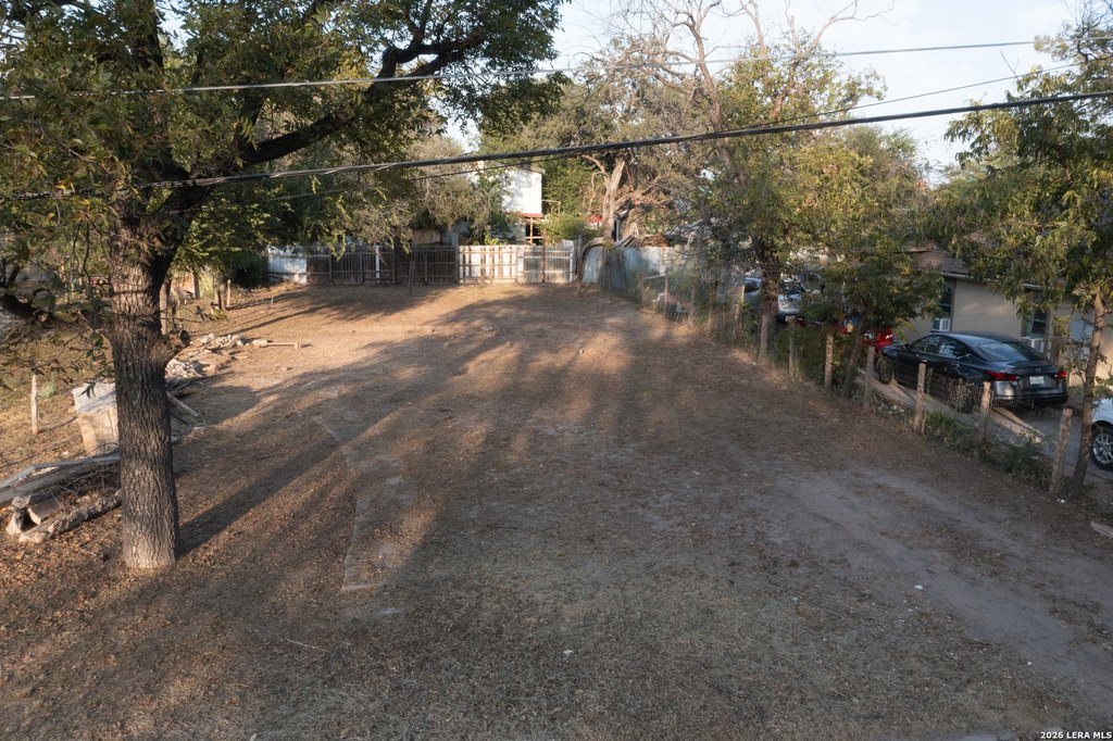 Picture 8