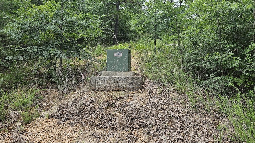 Picture 6