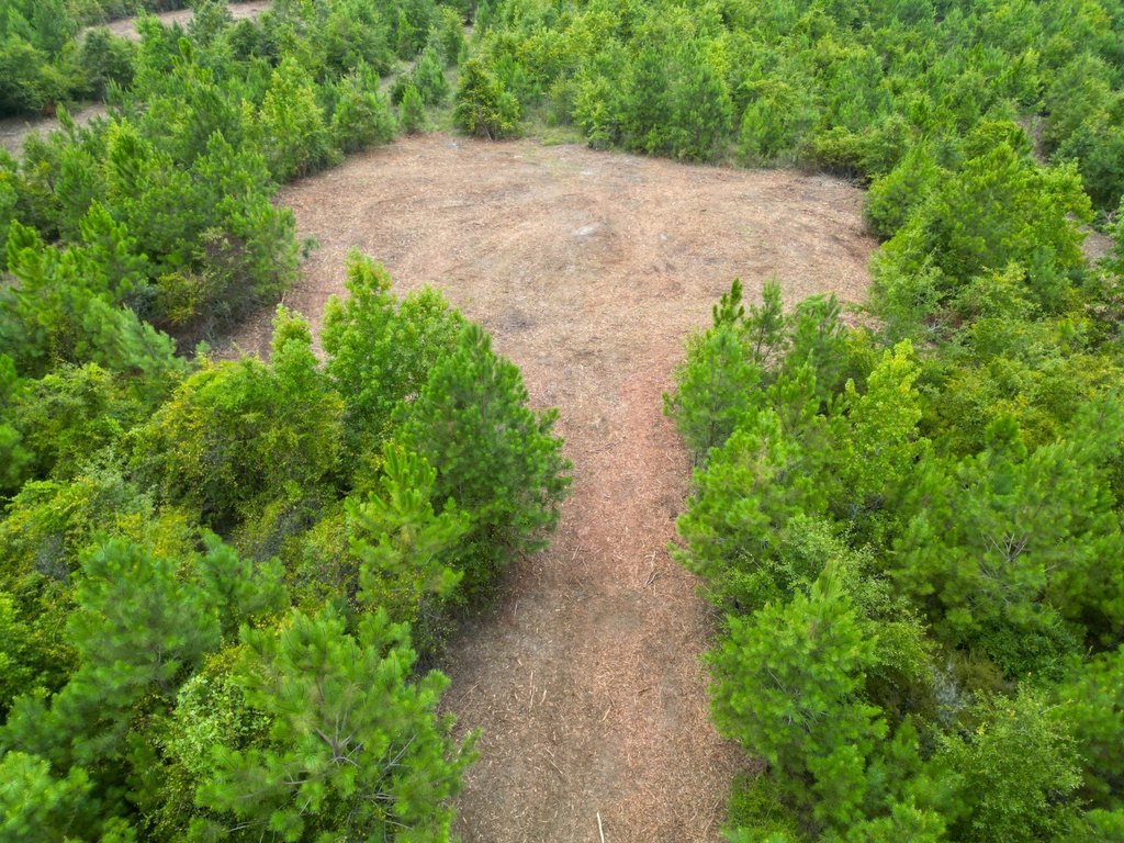 Picture 3