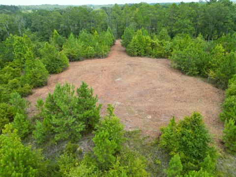 Land, Goshen, AL