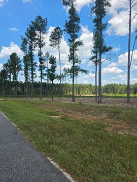 Land, Sandersville, GA