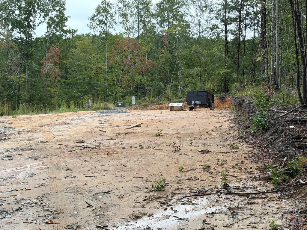 Picture 15