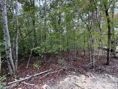 Land, Rutherfordton, NC