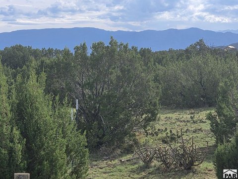 Land, Penrose, CO