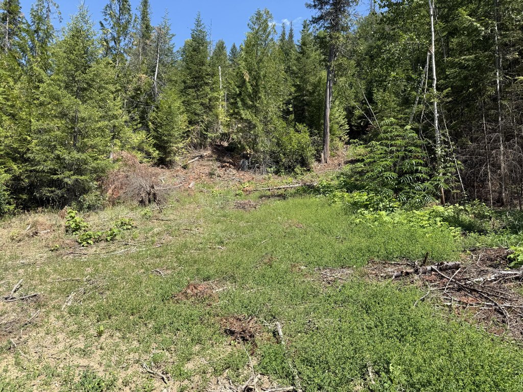 Picture 25