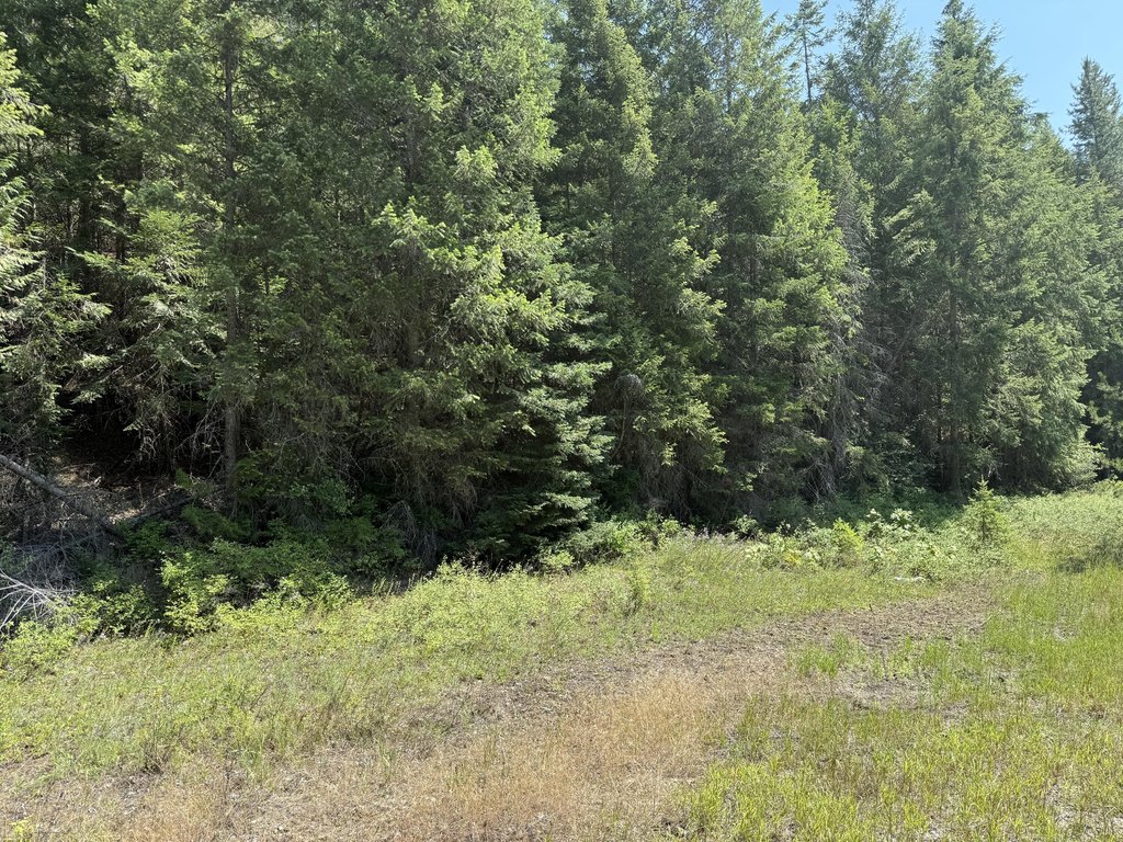 Picture 21