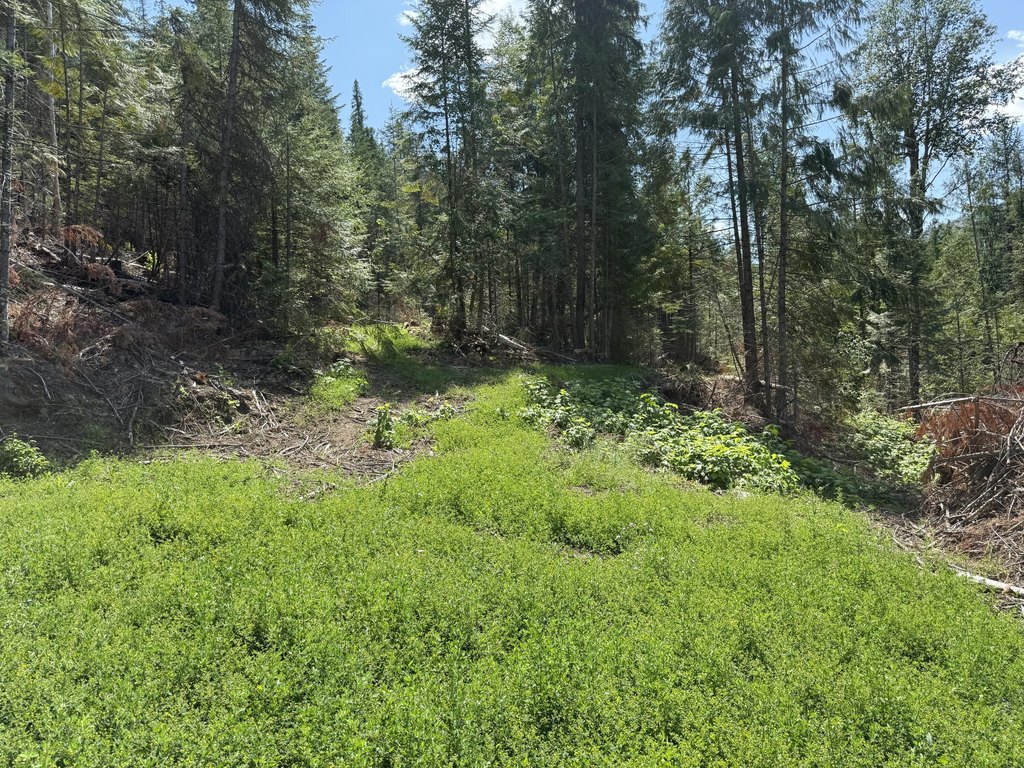 Picture 27