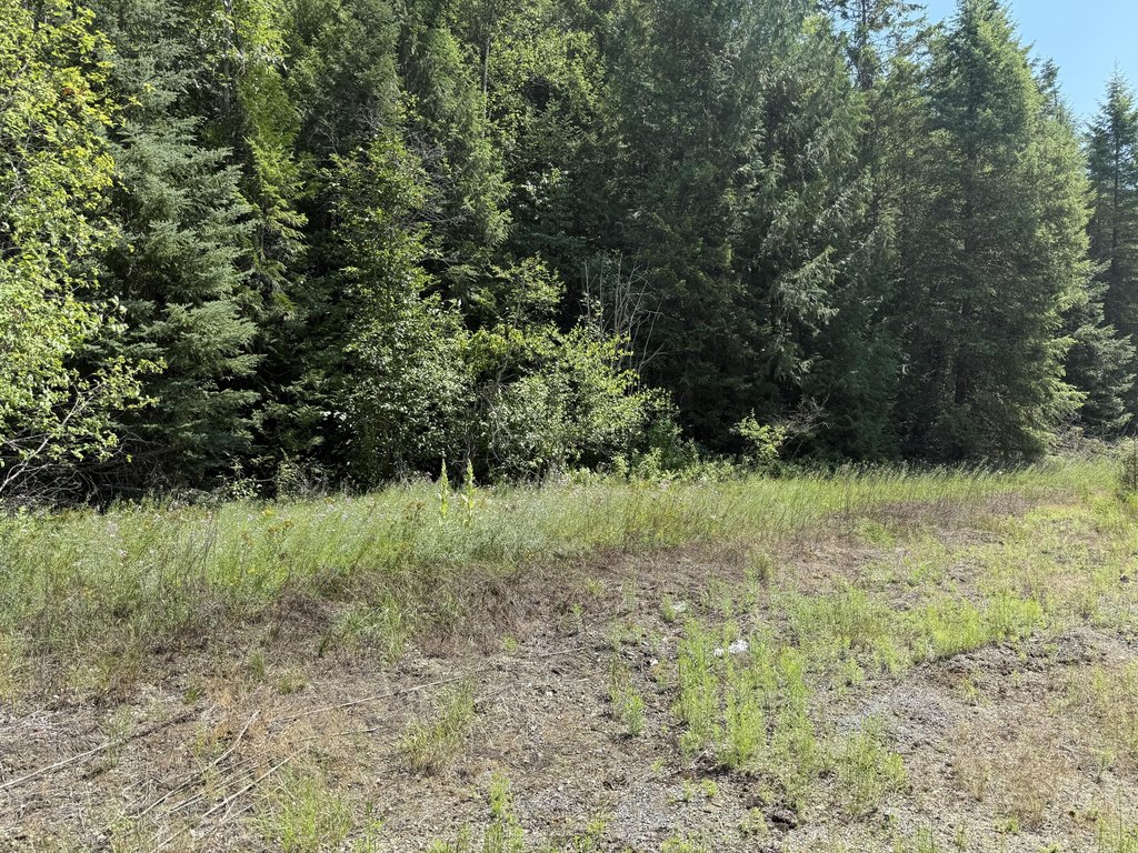 Picture 23