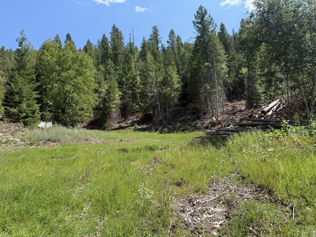 Picture 5