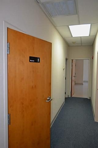 Picture 17
