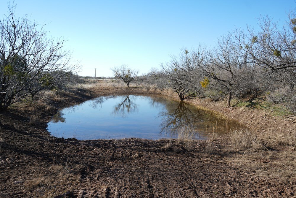 Picture 34