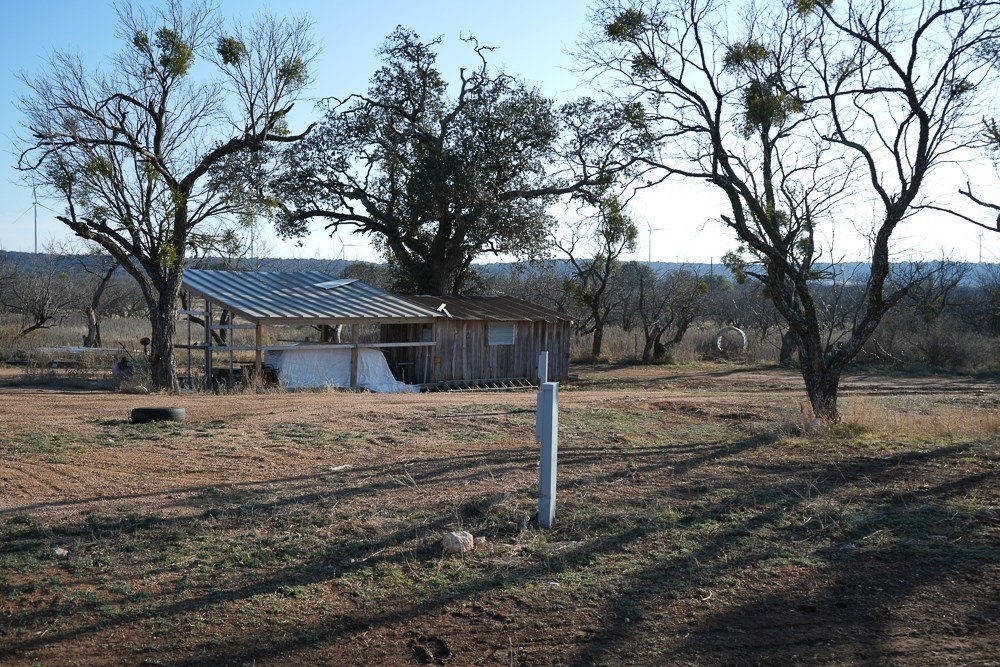Picture 40