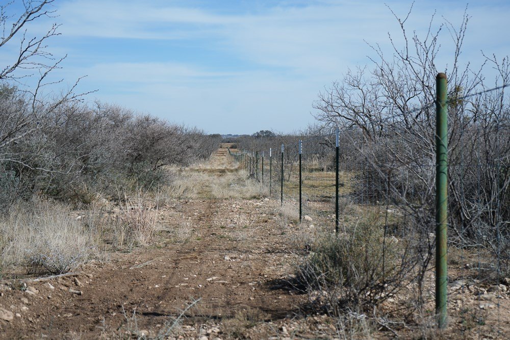 Picture 21