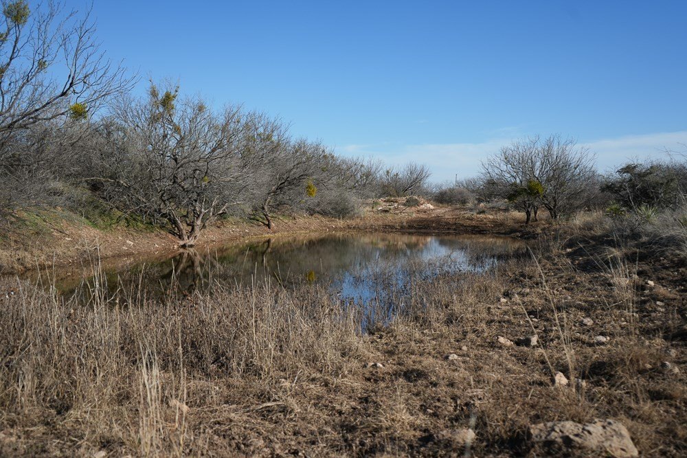 Picture 33