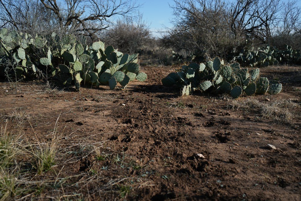 Picture 36