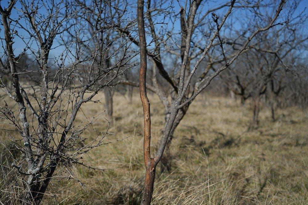 Picture 22