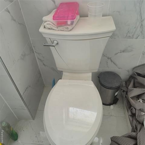 Picture 24