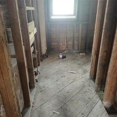 Picture 19