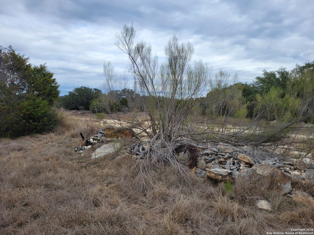 Picture 8