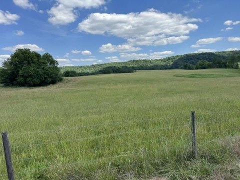 LAND - Horse Cave, KY