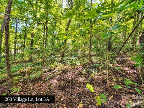 Land, Waynesville, NC