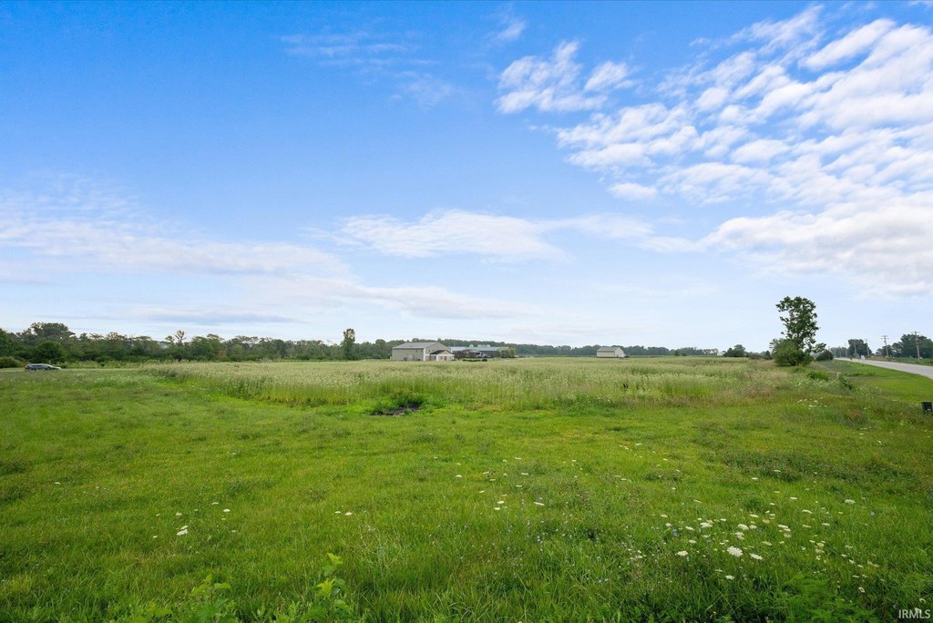 Picture 6