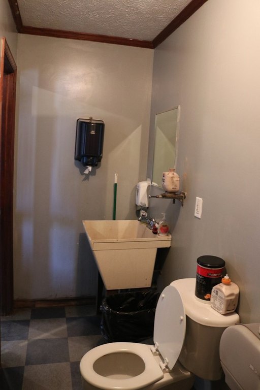 Picture 17