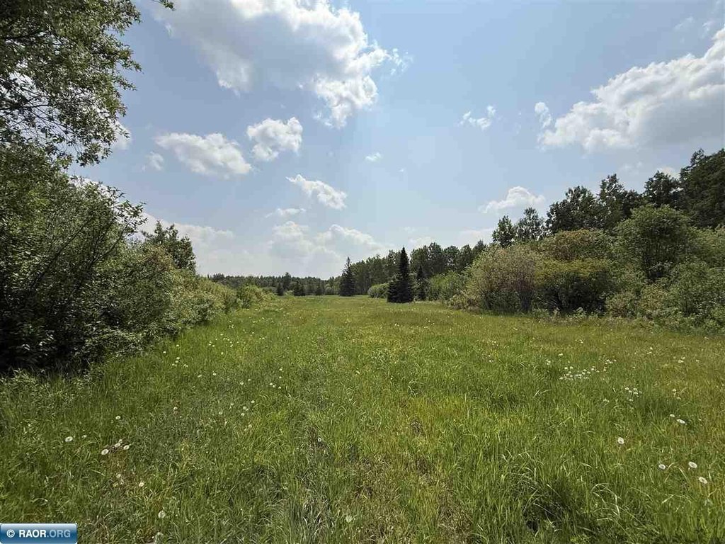 Picture 29