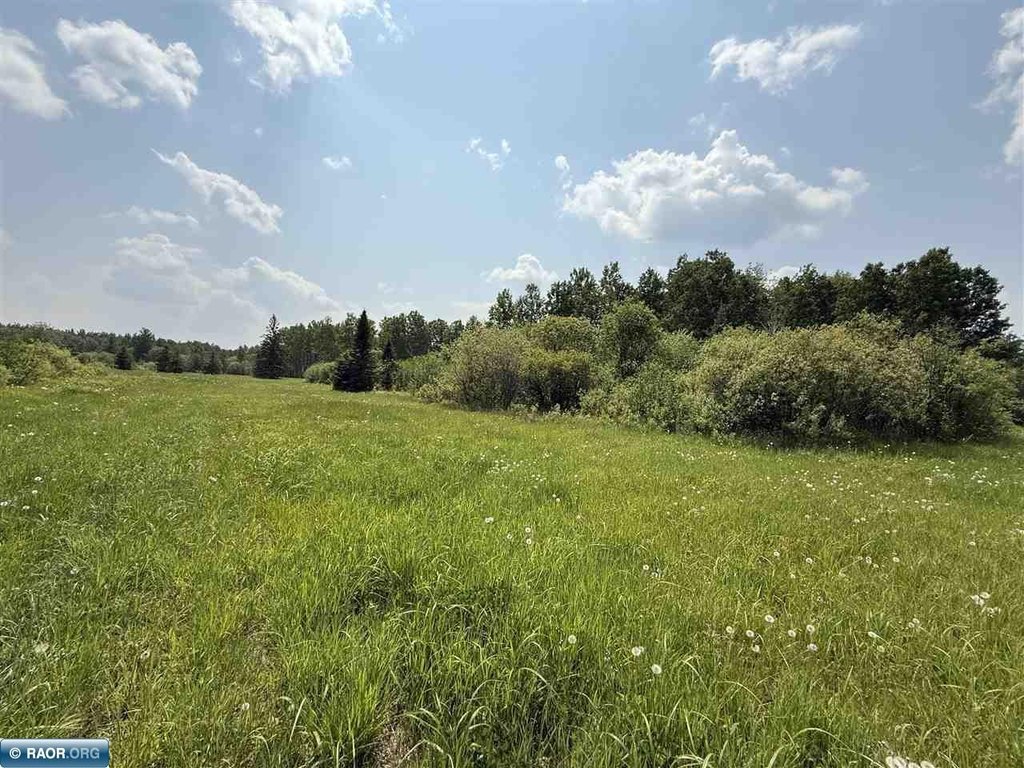 Picture 31