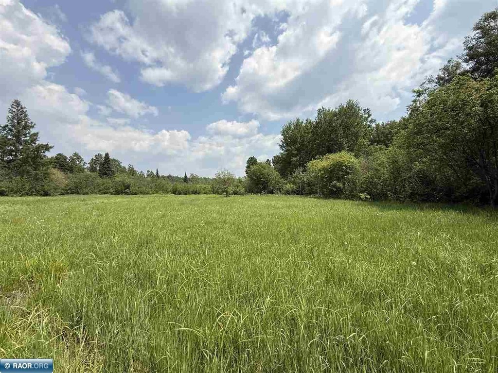 Picture 42